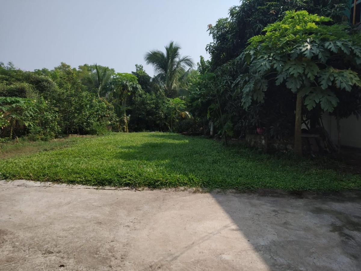 Kulswami Cottage Alibaug Exteriör bild